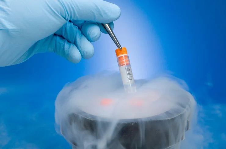 Cryopreservation Embryo Egg Sperm freezing 2