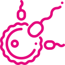 Largest Fertility Network 1