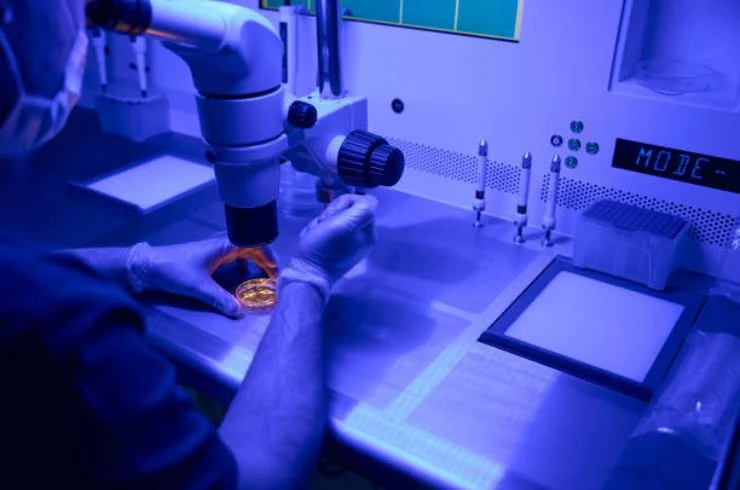 Pre-implantation Genetic Testing